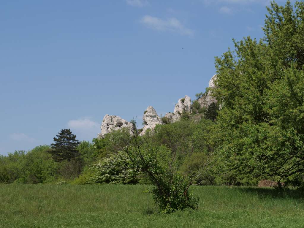 Pálava
