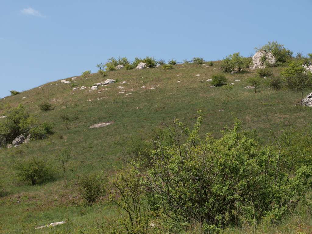 Stolová hora
