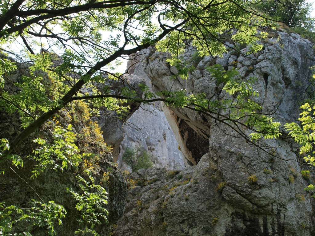 Sirotčí hrad
