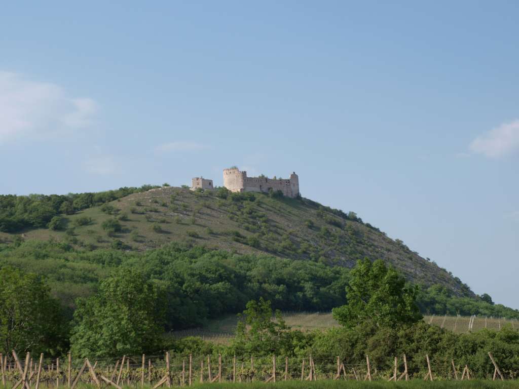 Pálava
