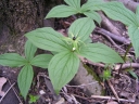 P4260028-1024~0.jpg