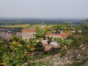 P5021157-1024~0.jpg