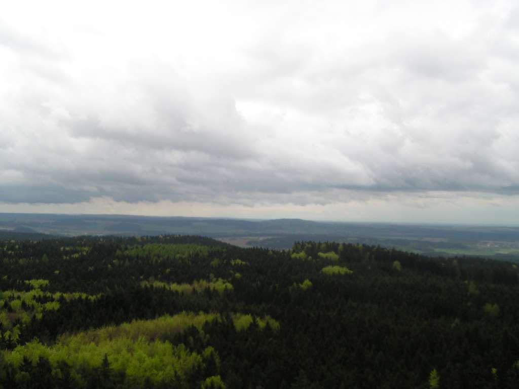 P5030082-1024.jpg