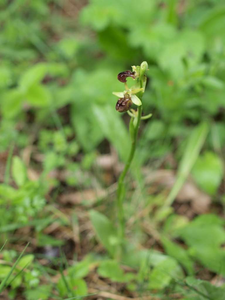 P5033156-1024~1.jpg