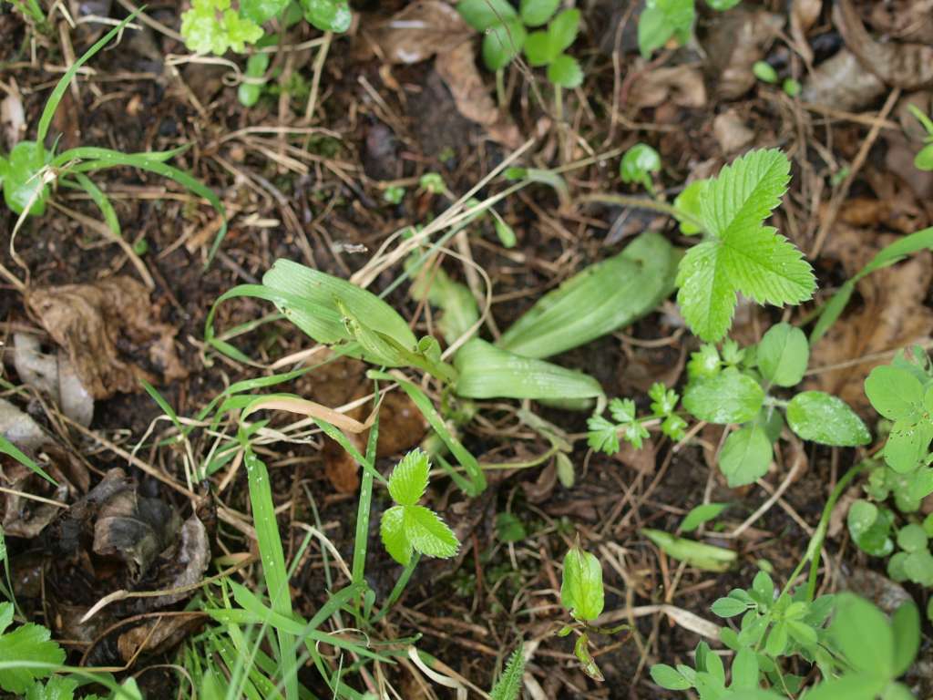 P5033178-1024~1.jpg
