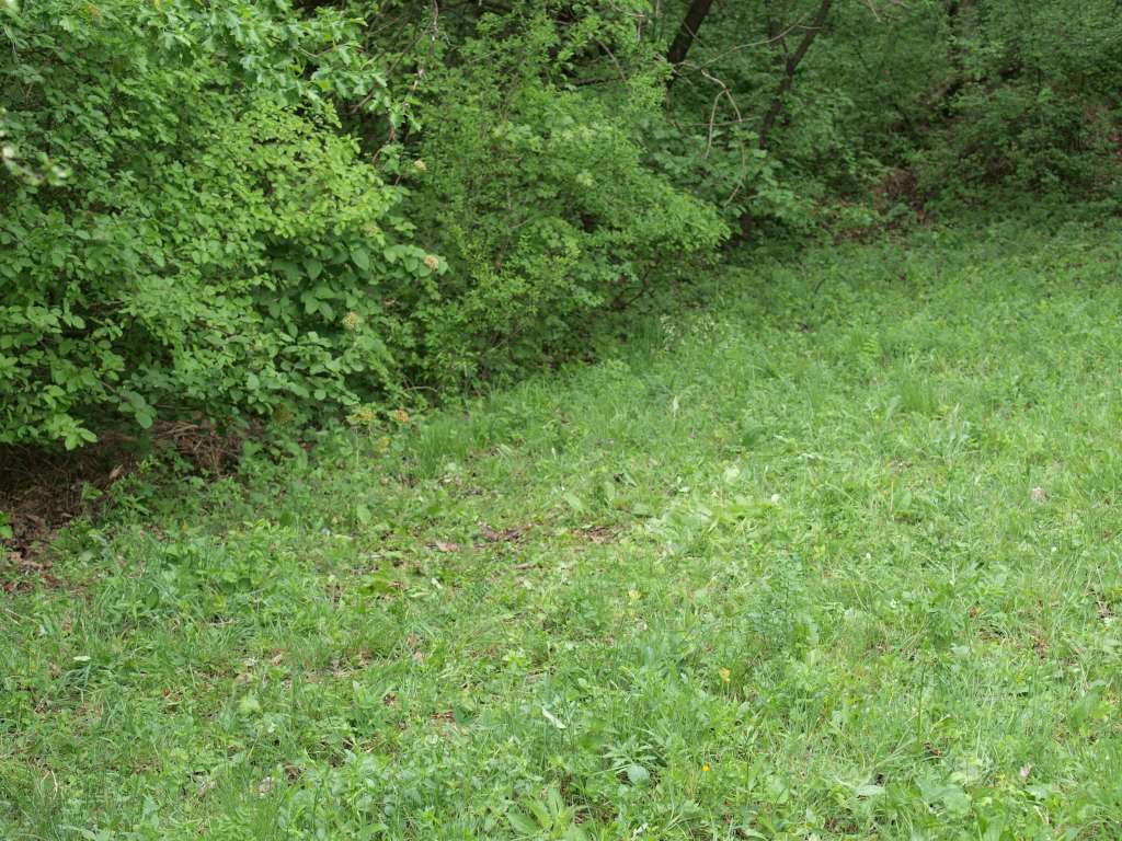 P5033185-1024~1.jpg