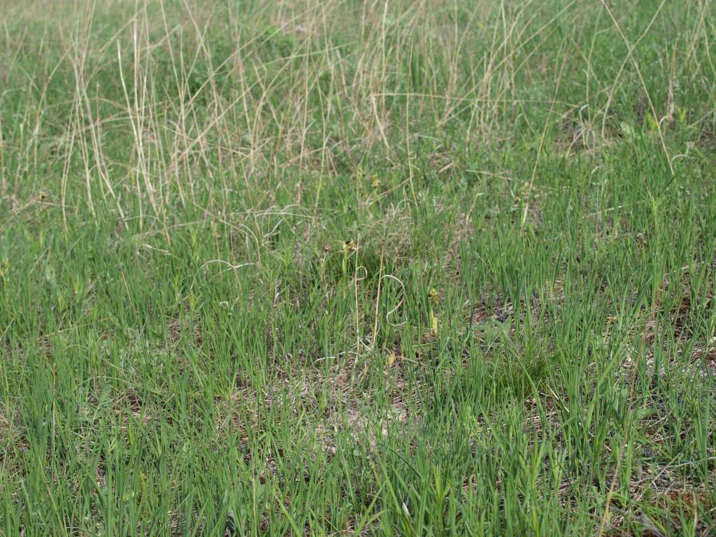 P5033201-1024~1.jpg