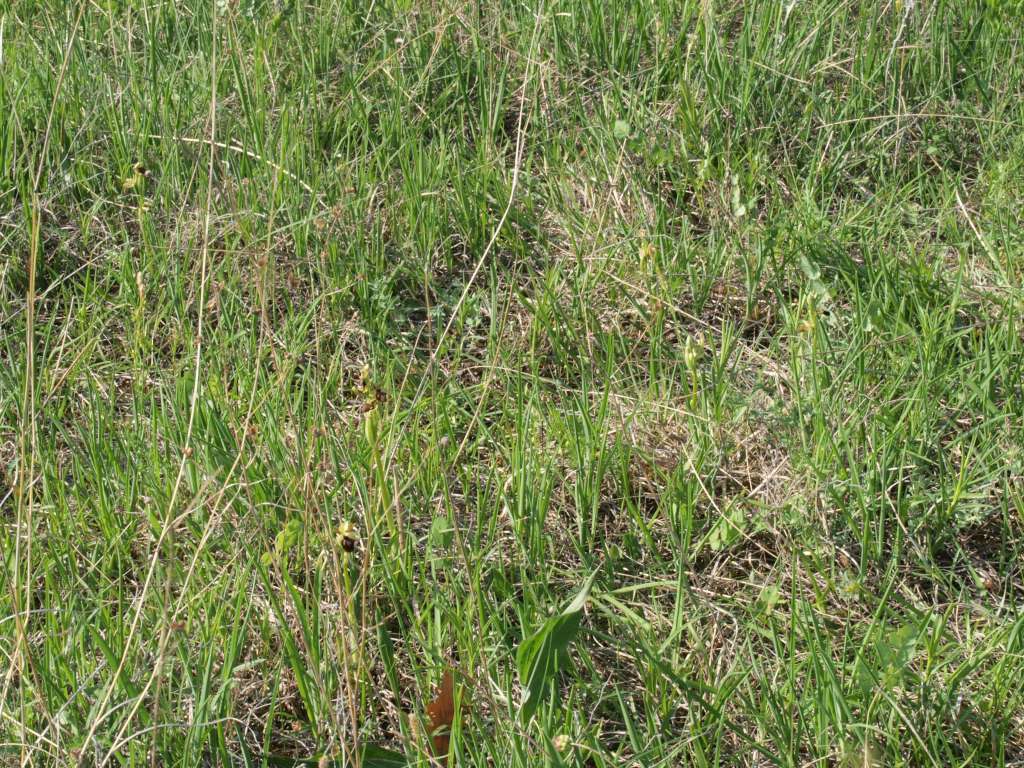 P5033233-1024~1.jpg