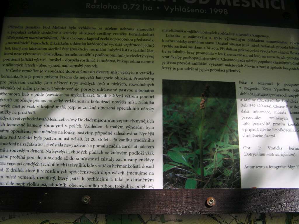 P5060010-1024.jpg