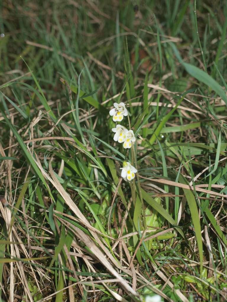 P5073445-1024~0.jpg