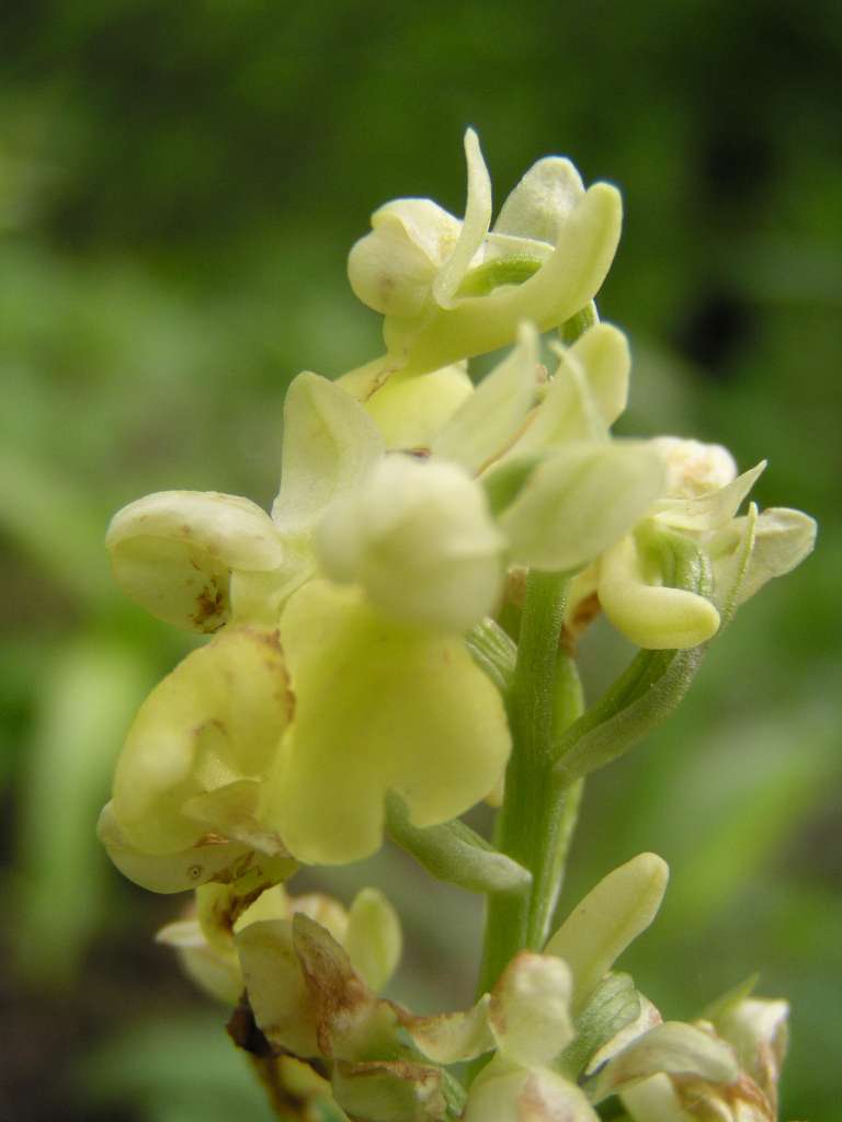 P5080015-1024~0.jpg