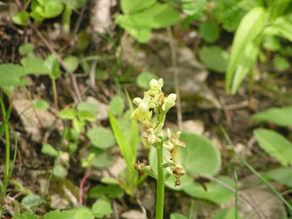 P5080030-1024~0.jpg