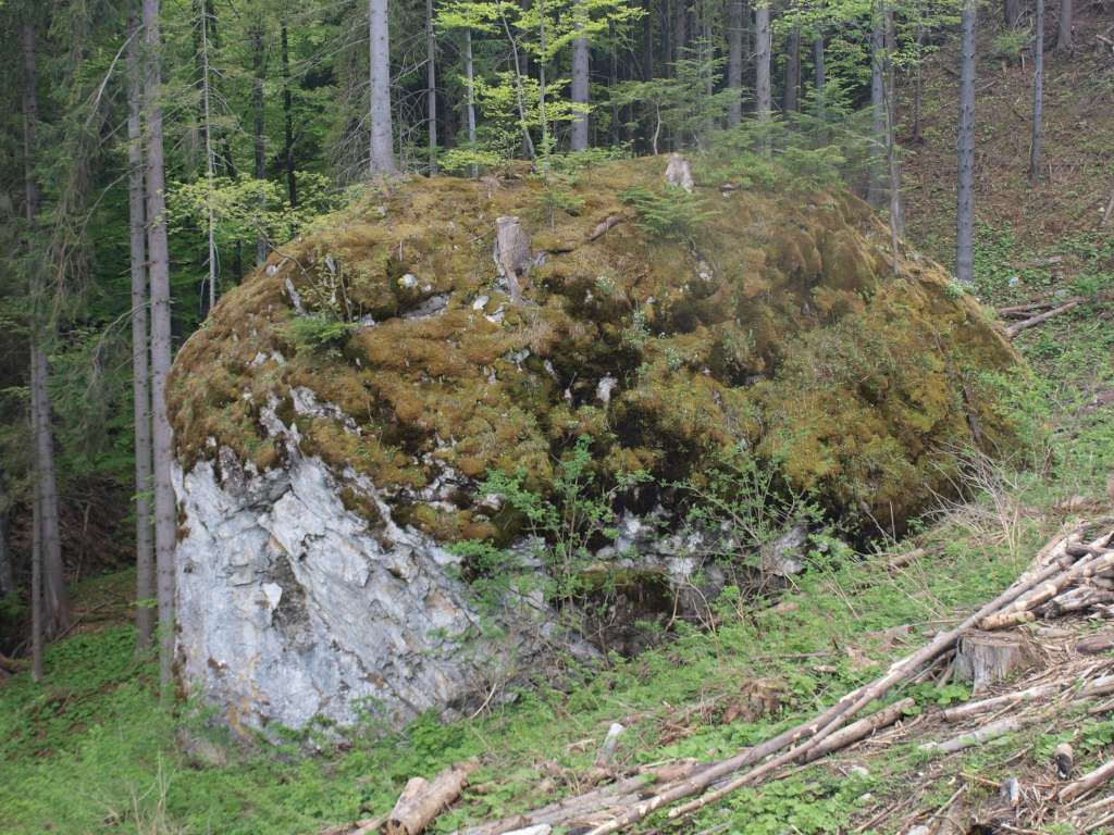 Vratná dolina
