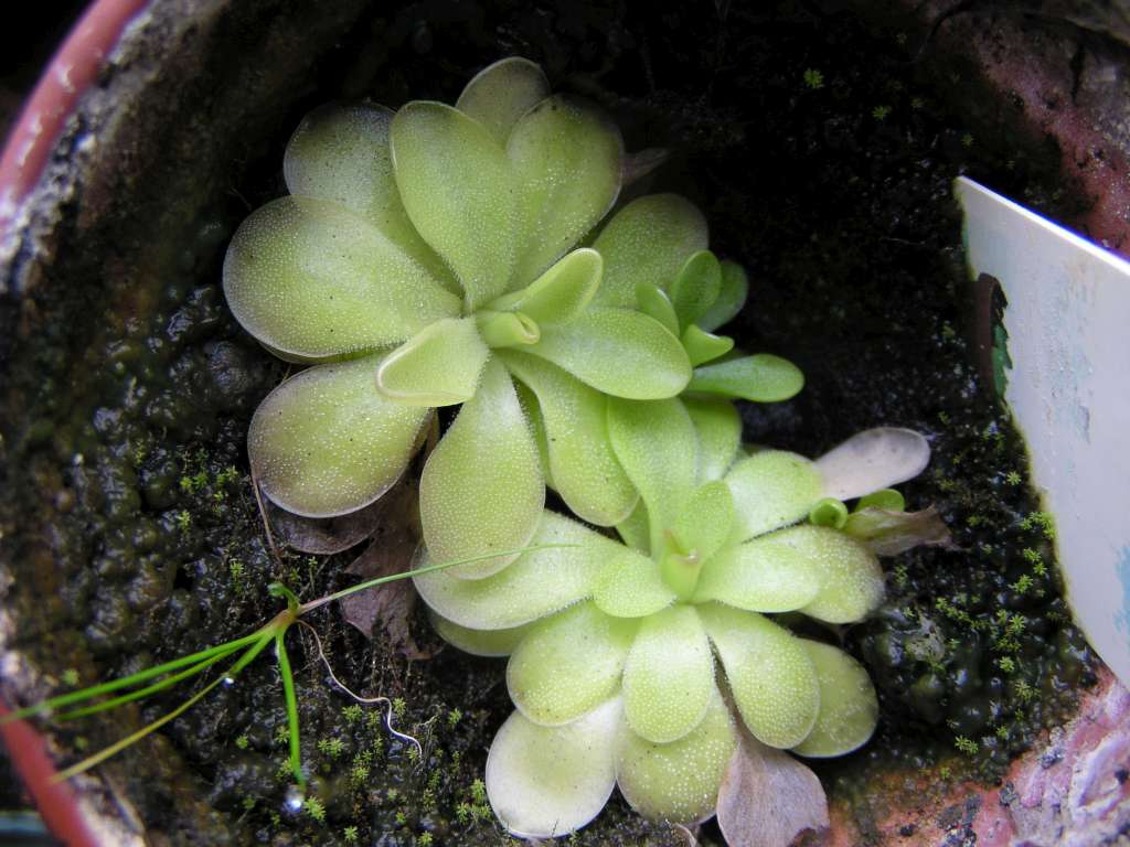 P5090002-1024~0.jpg