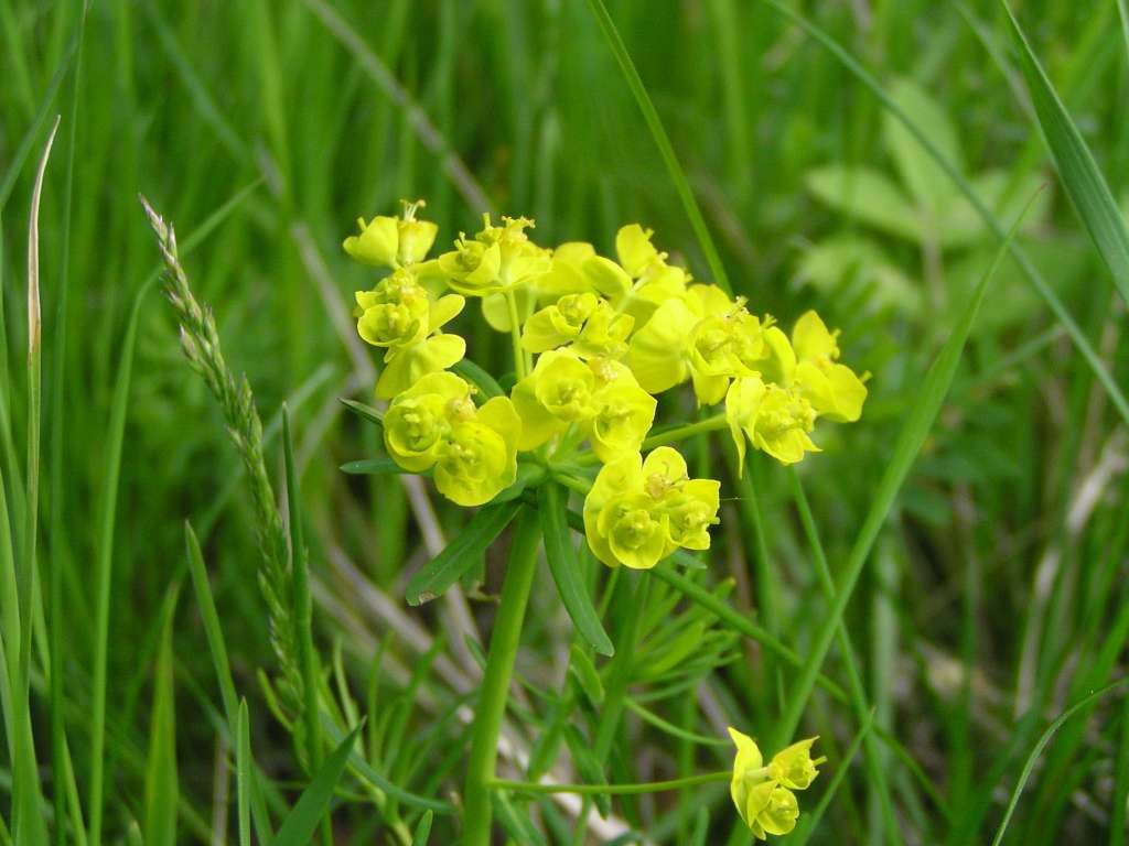 P5090055-1024~0.jpg