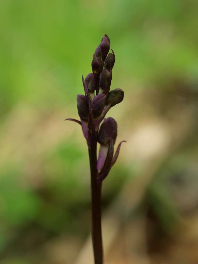 P5093644-1024~0.jpg