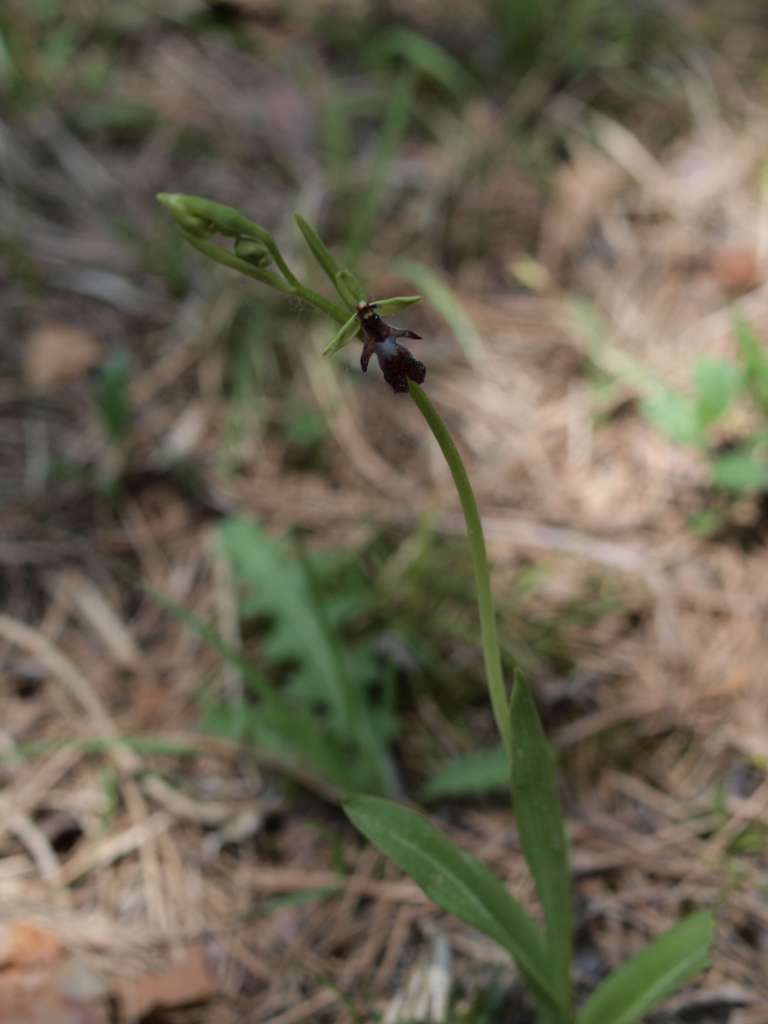 P5113745-1024~0.jpg