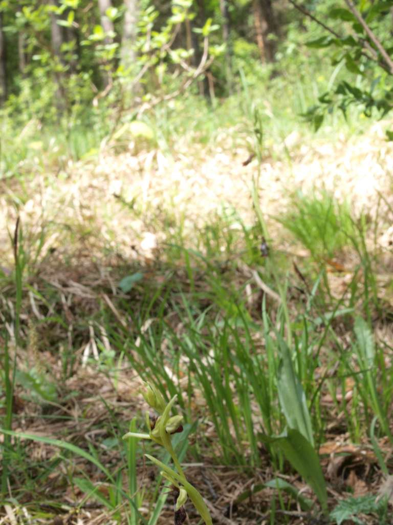 P5113777-1024~0.jpg