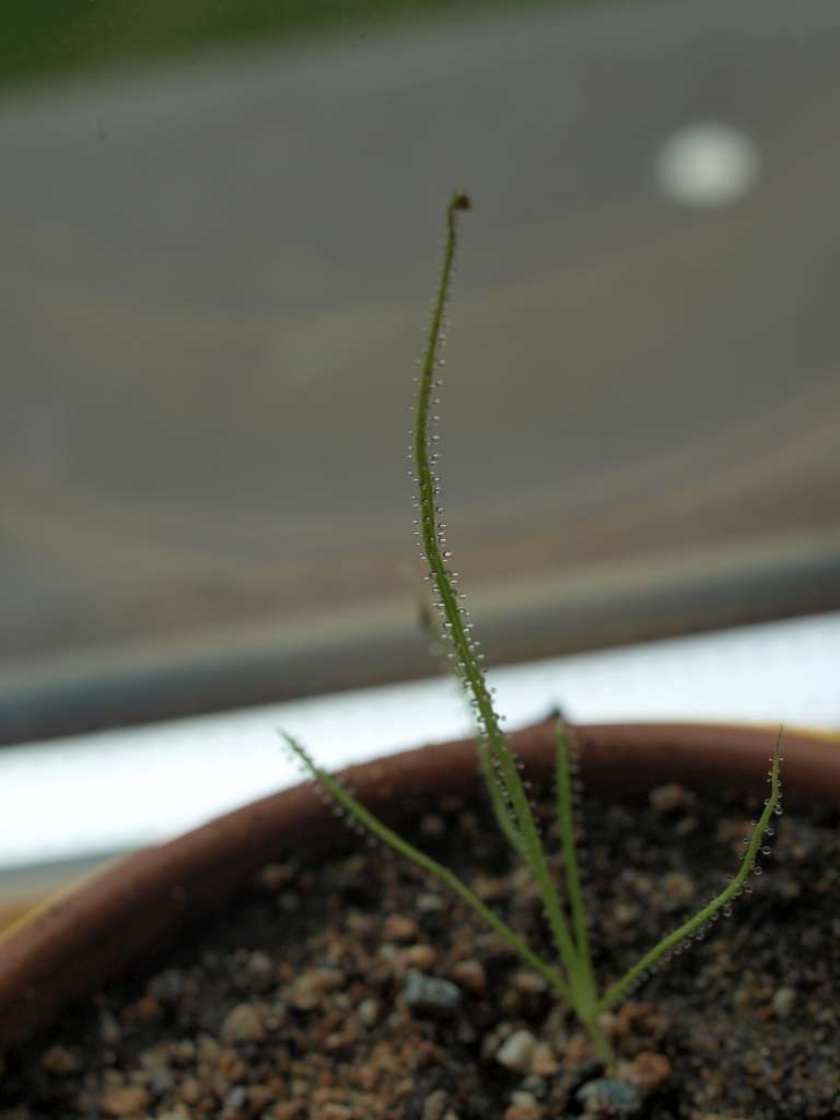 P5153905-1024~0.jpg