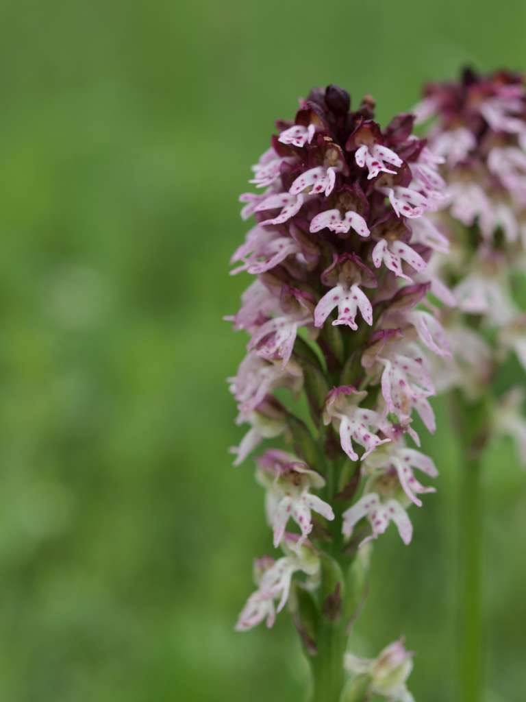 P5154731-1024~1.jpg