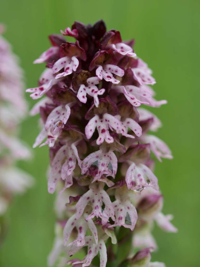 P5154741-1024~1.jpg