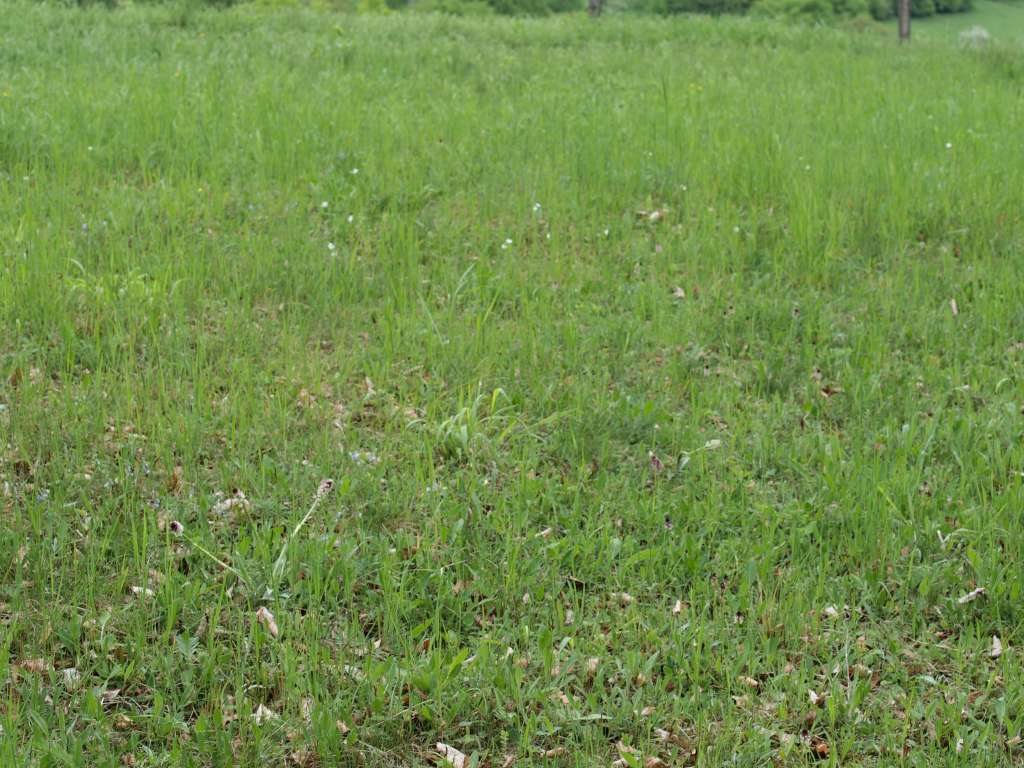 P5154771-1024~1.jpg