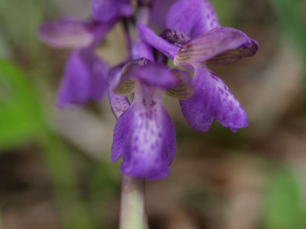 P5154788-1024~0.jpg