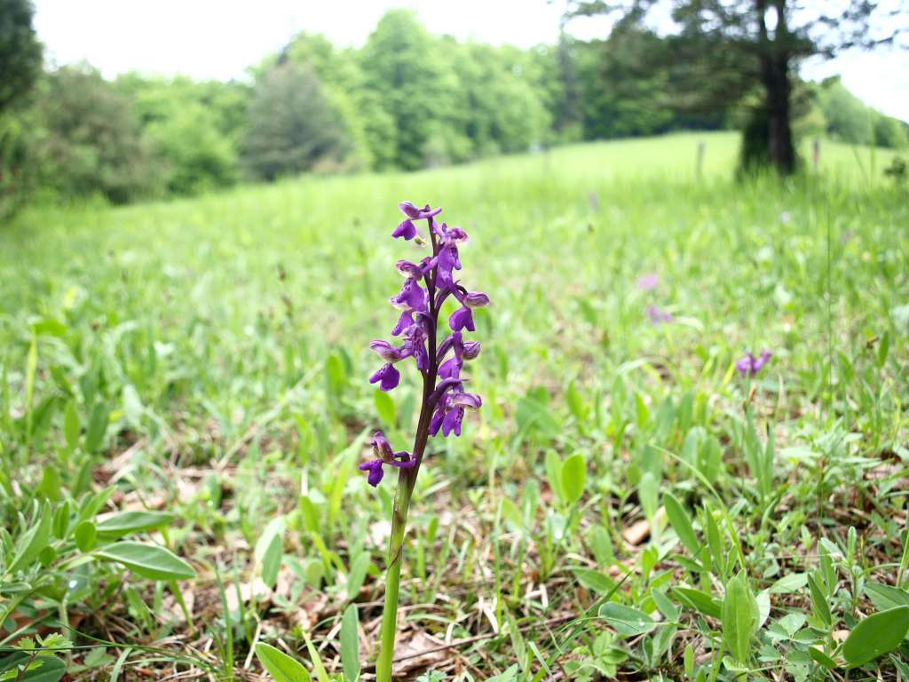 P5154827-1024~0.jpg