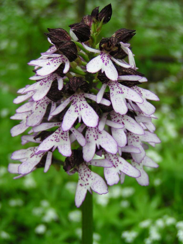 P5160072-1024~0.jpg