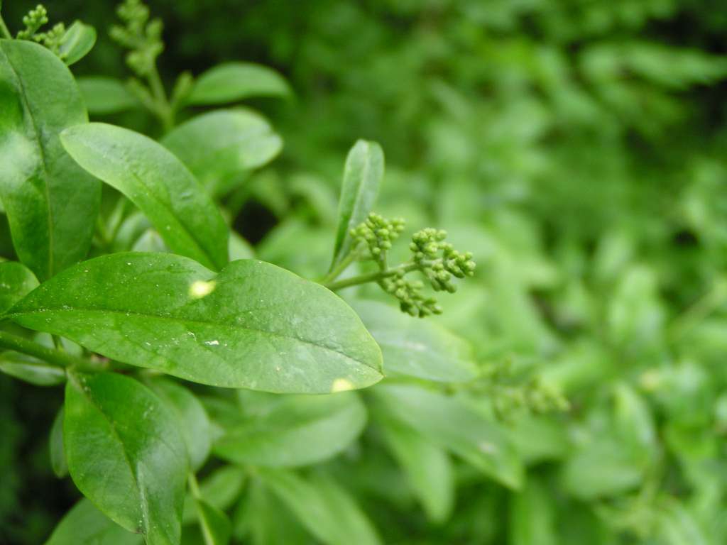 P5160079-1024~0.jpg