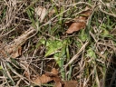 P5093574-1024~0.jpg