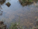 P5093655-1024~0.jpg
