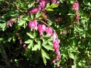 P5100085-1024~0.jpg