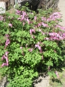 P5100088-1024~0.jpg