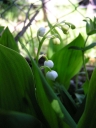 P5100092-1024~0.jpg