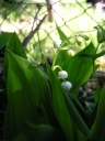 P5100094-1024~0.jpg