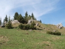 Název souboru=P5103722-1024.jpg
Velikost souboru=340KB
Rozměry=1024x768
Datum přidání=10. Květen 2012 P5103722-1024.jpg