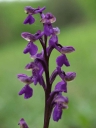 P5154780-1024~0.jpg