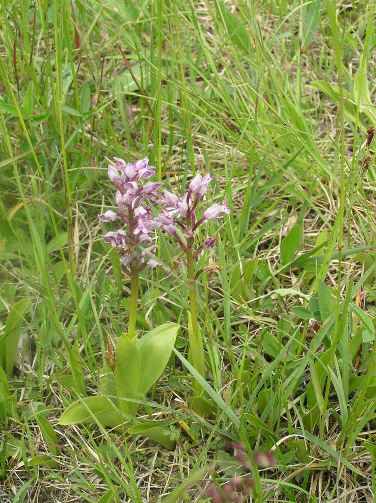 P5201001-1024~0.jpg