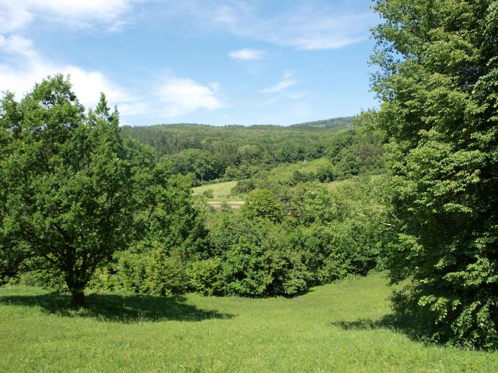 Jazevčí
