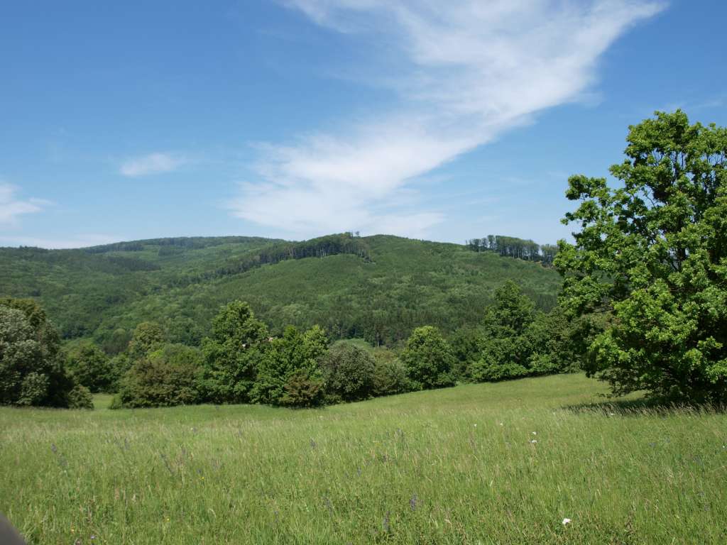 Jazevčí

