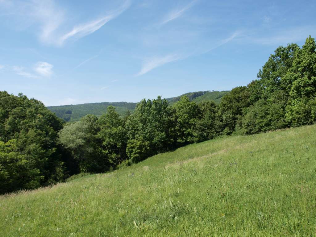 Jazevčí
