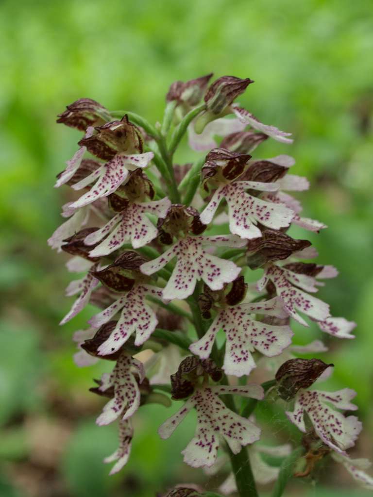 P5224929-1024~0.jpg