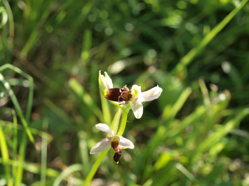 P5249585-1024~0.jpg