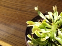 P5171482-1024~0.jpg