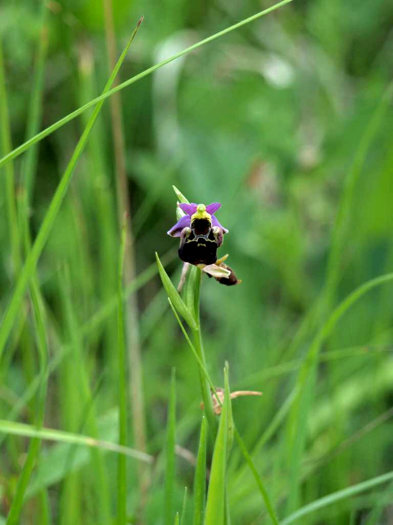 P5274239-1024~0.jpg