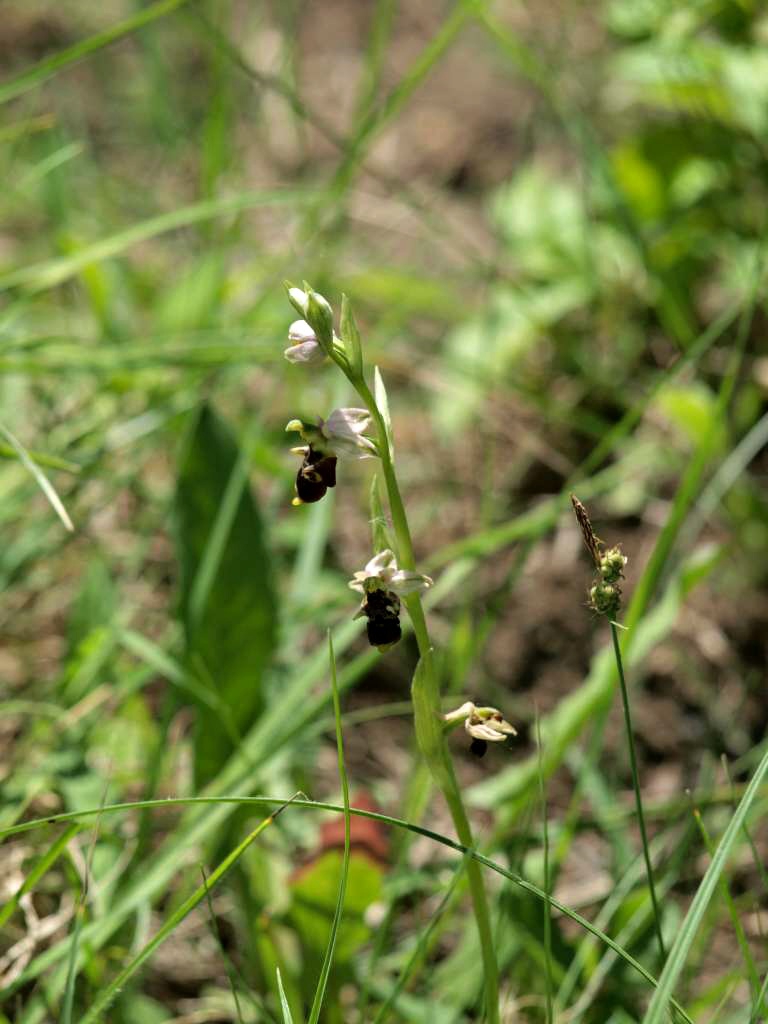 P5274242-1024~0.jpg