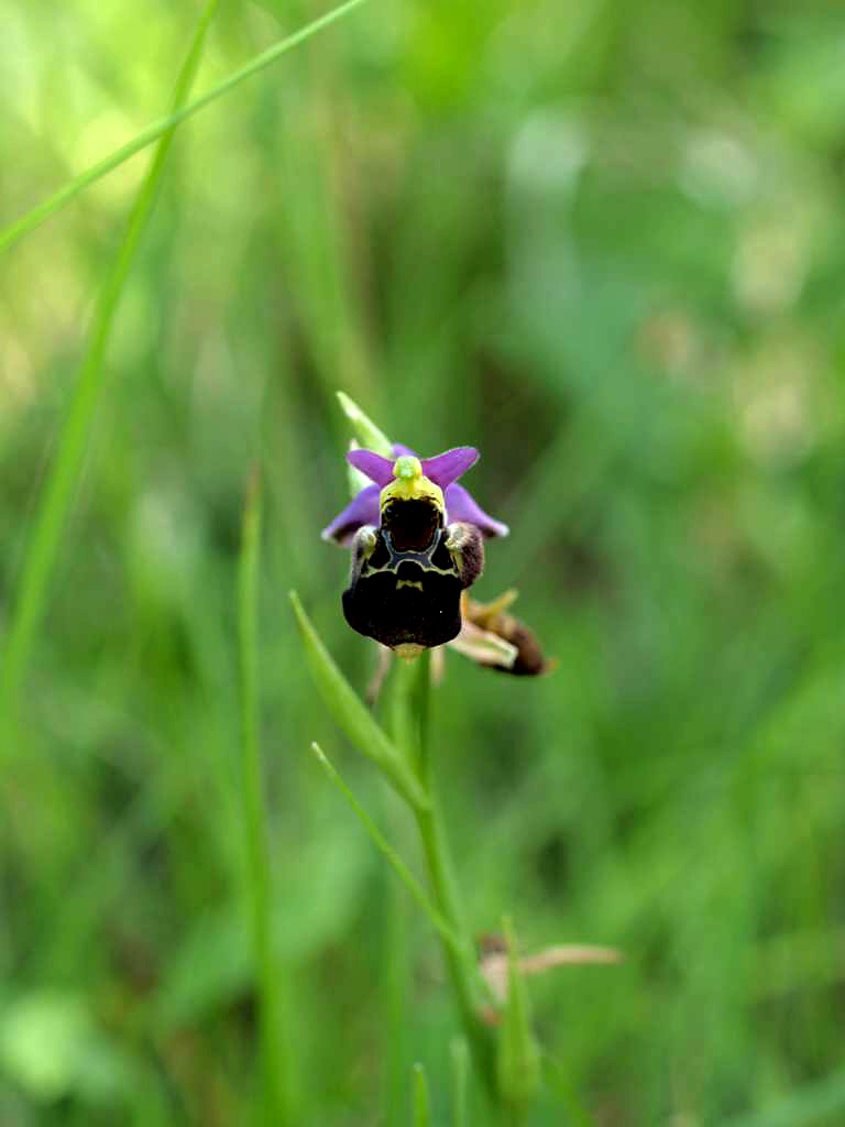 P5274253-1024~0.jpg