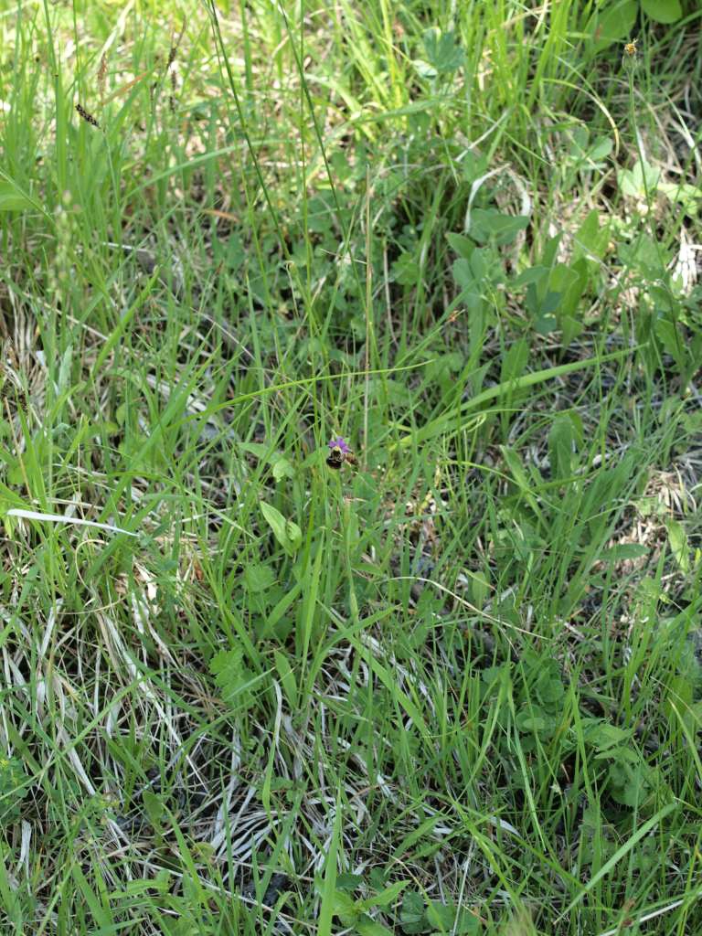 P5274255-1024~0.jpg