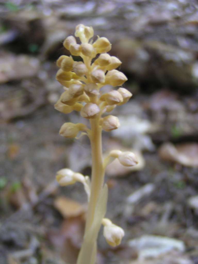 P5280033-1024~0.jpg